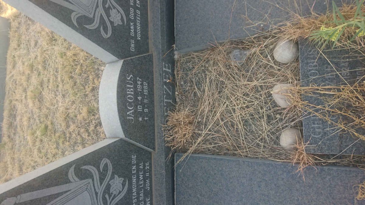 COETZEE Kosie 1925-1982 :: COETZEE Martie 1936-2005 :: COETZEE Jacobus 1947-1982