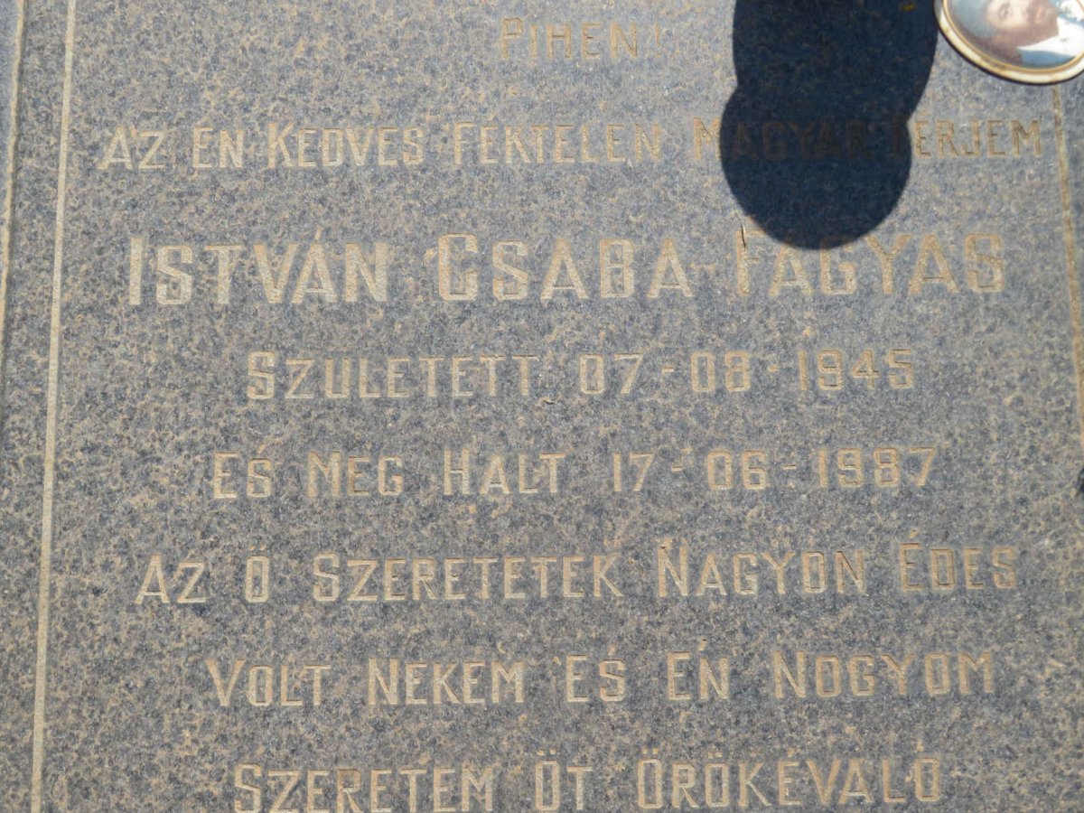 FAGYAS István, CSABA 1945-1987
