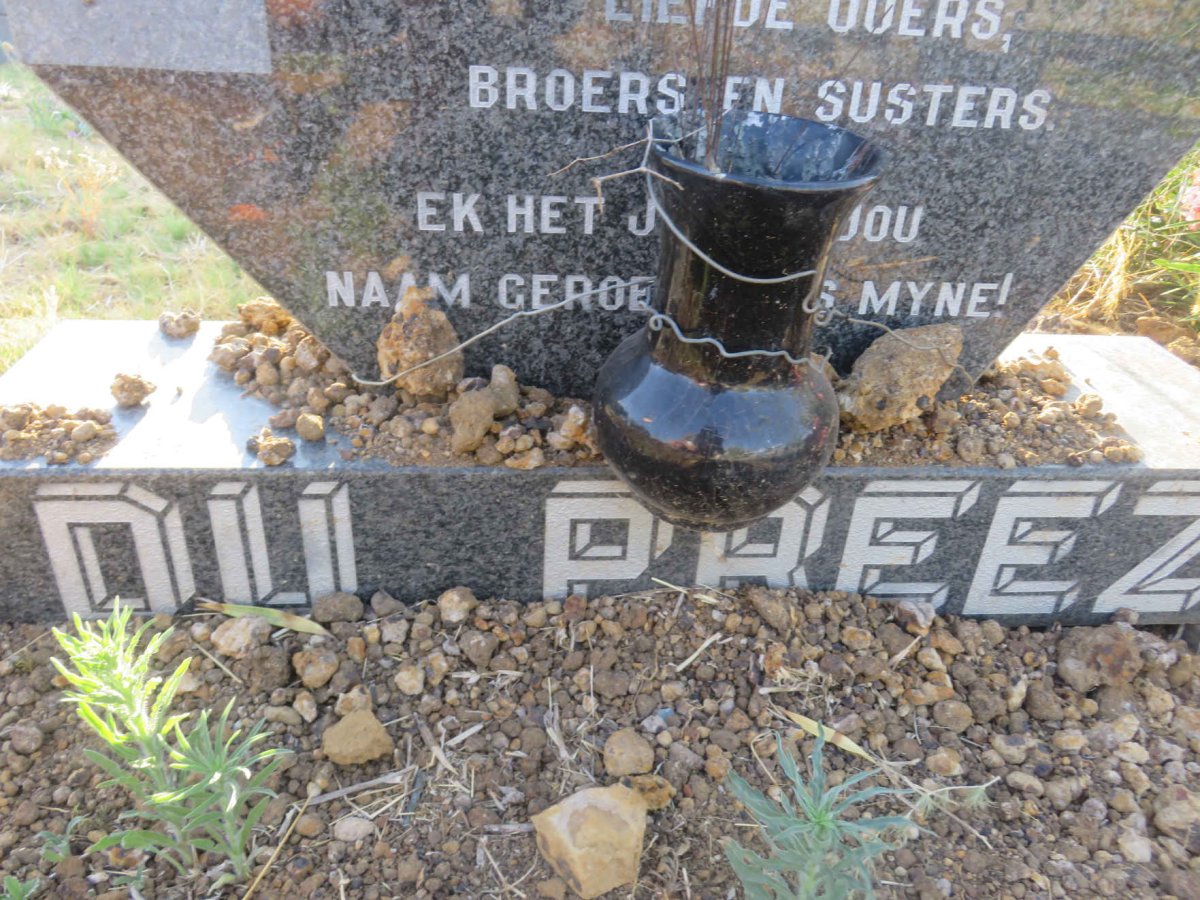 PREEZ Deon, du 1961-1984