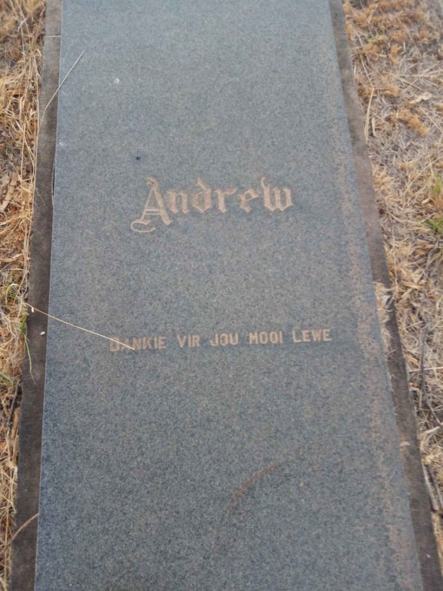 ? Andrew