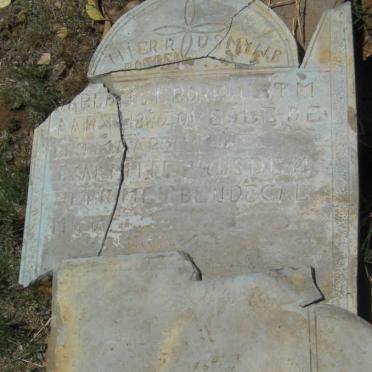 BLOM ? A. 1880-