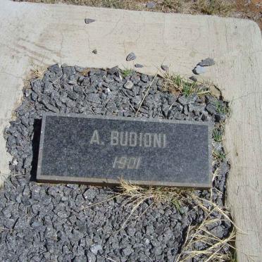 BUDIONI A. -1901