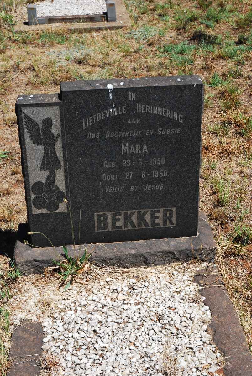 BEKKER Mara 1950-1950