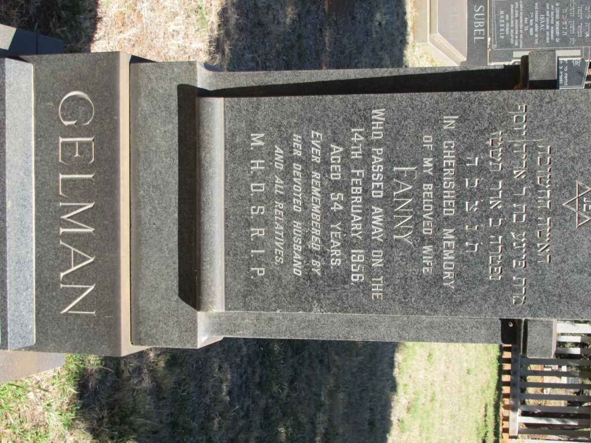GELMAN Fanny -1956