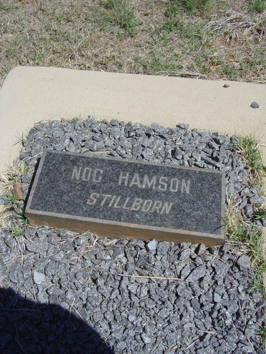 HAMSON Nog 