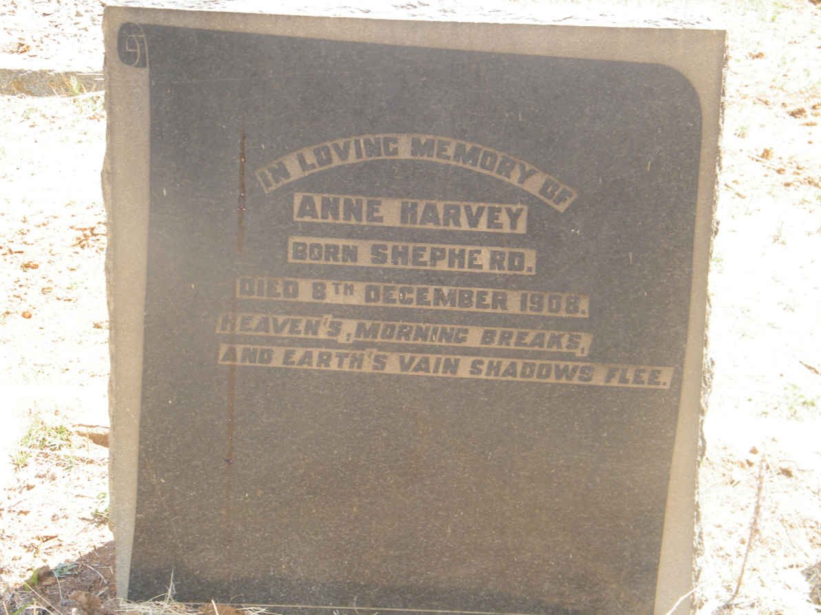 HARVEY Anne nee SHEPHERD -1908