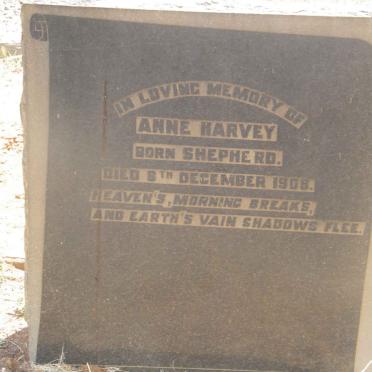 HARVEY Anne nee SHEPHERD -1908