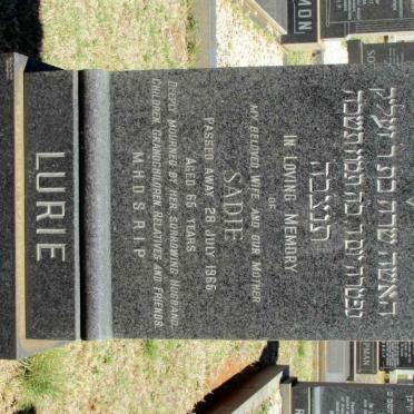 LURIE Sadie -1965
