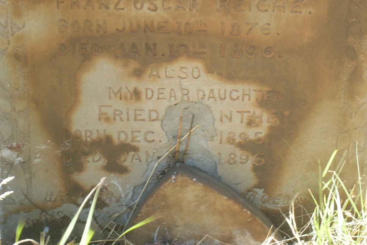 ?? ..NTHEY Frieda 1895-1895