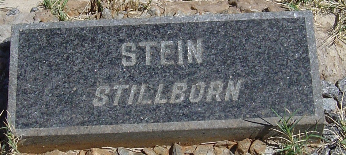 STEIN ?