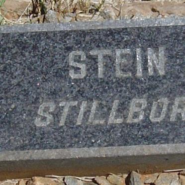 STEIN ?