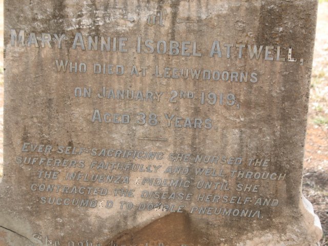 ATTWELL Mary Annie Isobel -1919