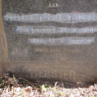 WEBSTER Petronella Cecilia nee JOUBERT 1870-1954