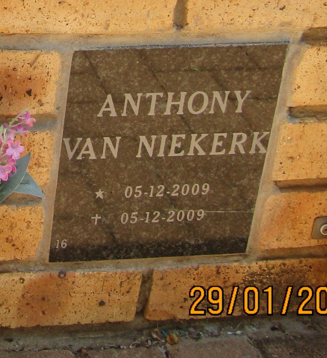 NIEKERK Anthony, van 2009-2009