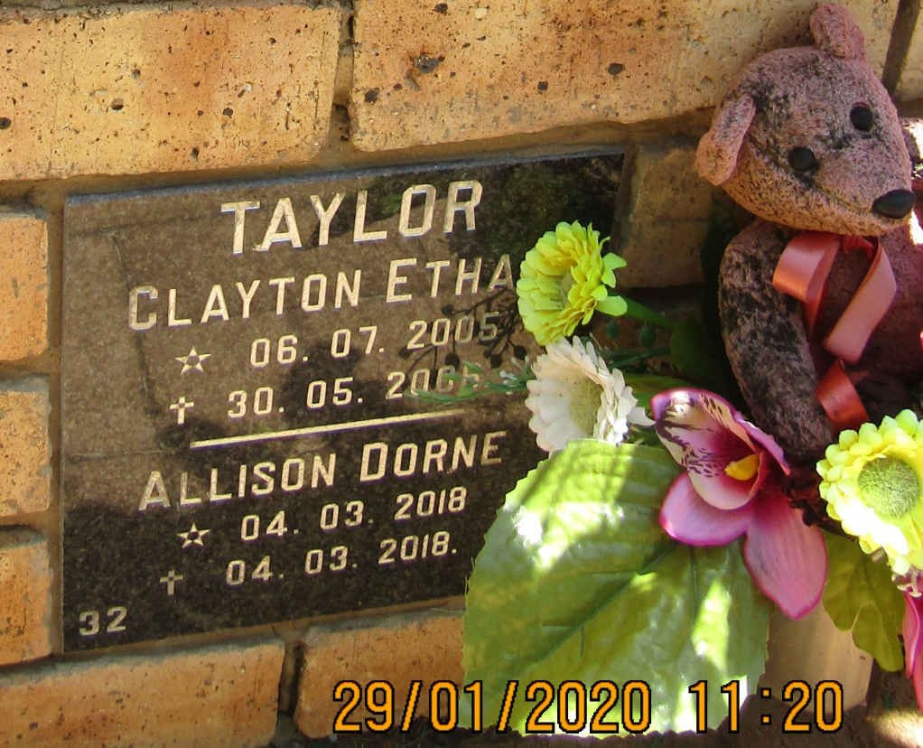 TAYLOR Clayton Ethan 2005-2006 :: TAYLOR  Allison Dorne 2018-2018