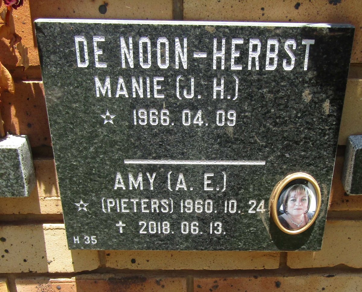 HERBST J.H., de Noon 1966- &amp; A.E. PIETERS 1960-2018