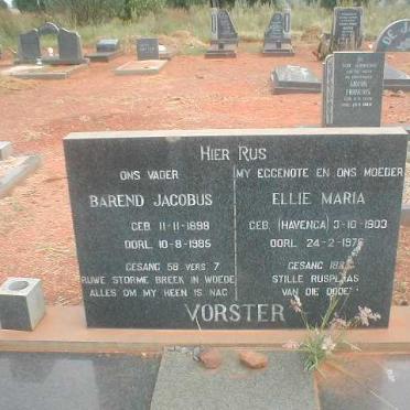 VORSTER Barend Jacobus 1898-1985 &amp; Ellie Maria HAVENGA 1903-1976