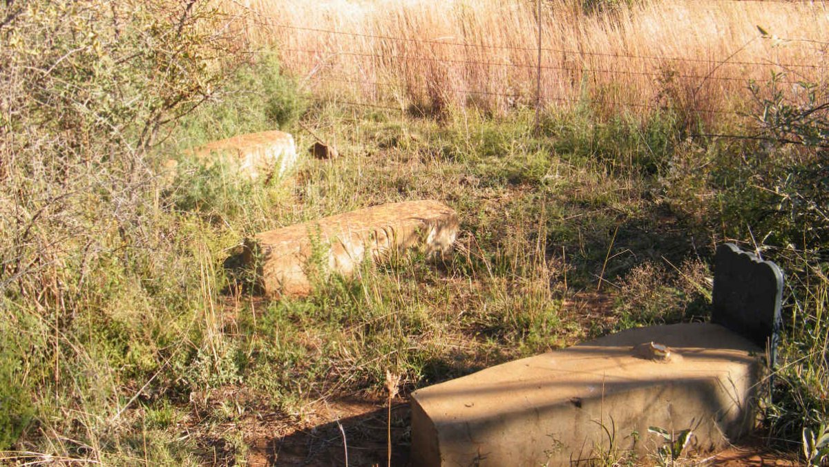 3. Overview