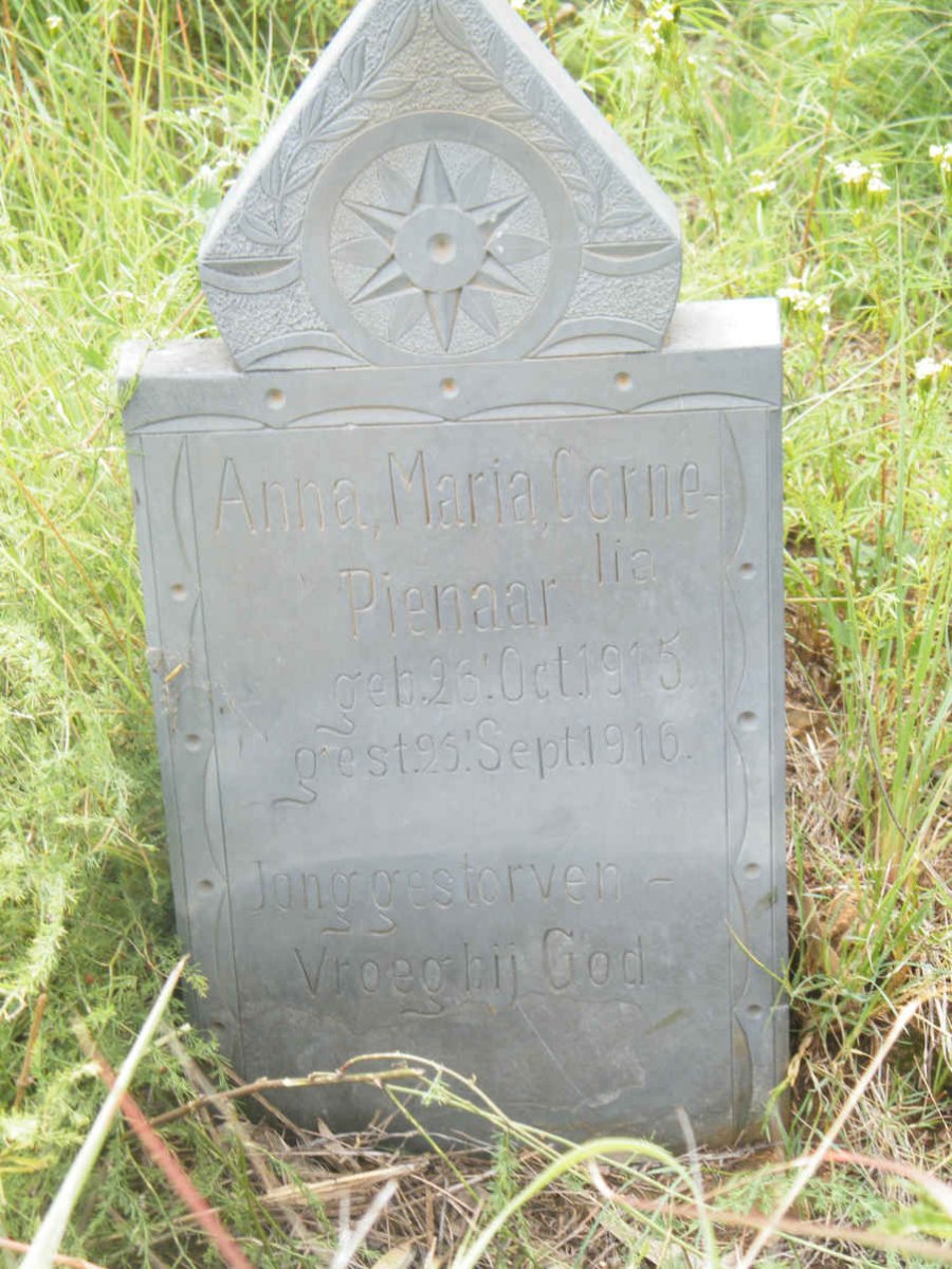 PIENAAR Anna Maria Cornelia 1915-1916