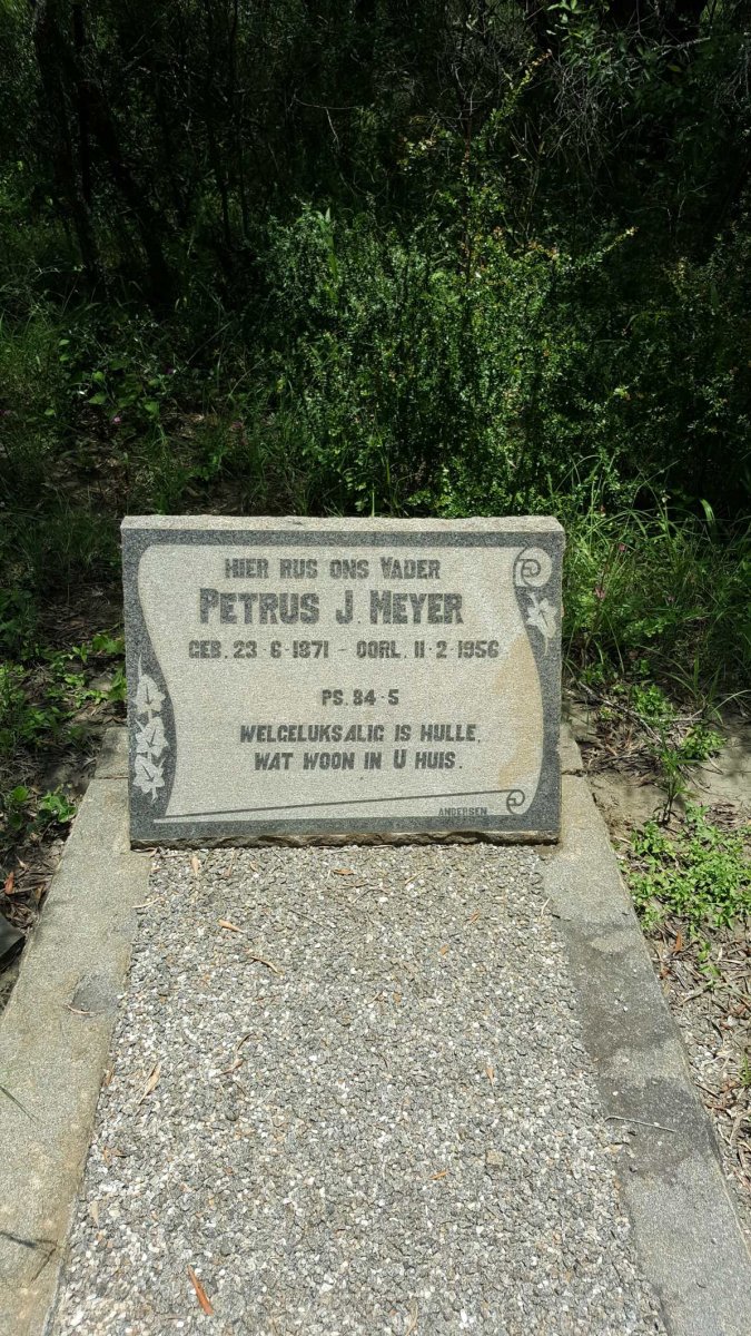 MEYER Petrus J. 1871-1956