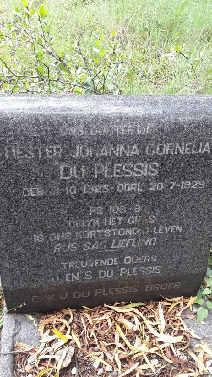 PLESSIS Hester Johanna Cornelia, du 1925-1929