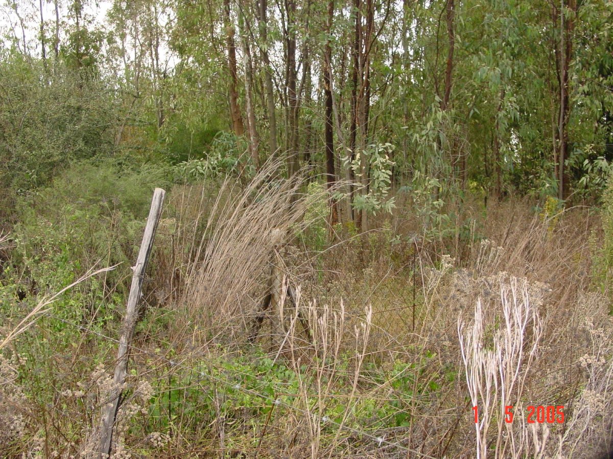 1. Overview