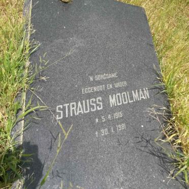 MOOLMAN Strauss 1915-1981