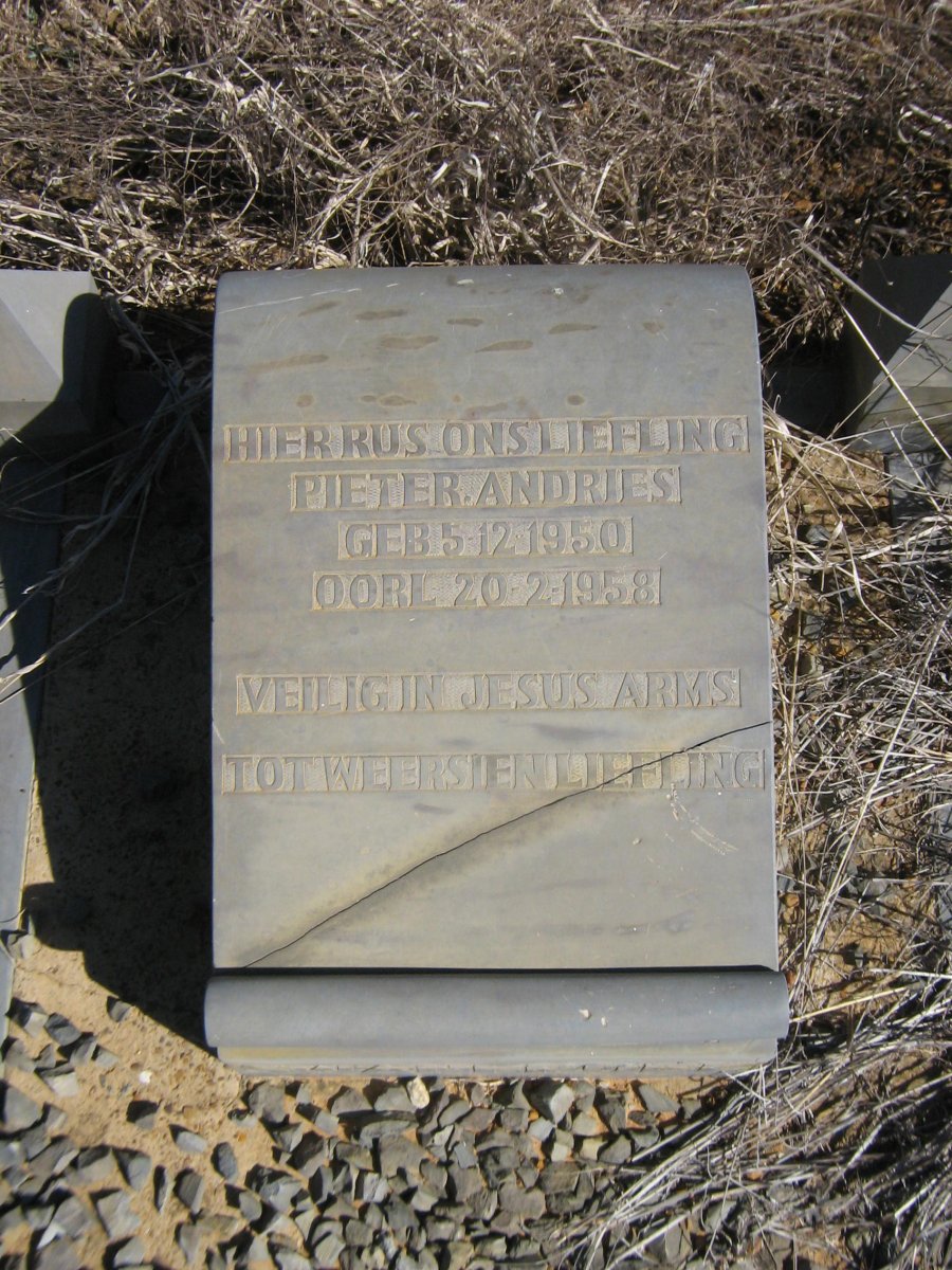 ? Pieter Andries 1950-1958