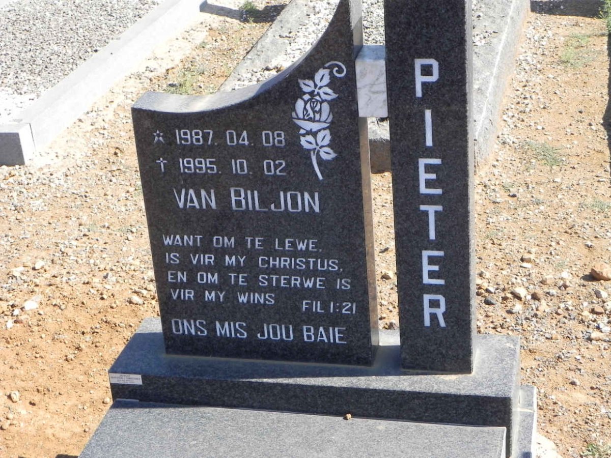 BILJON Pieter, van 1987-1995