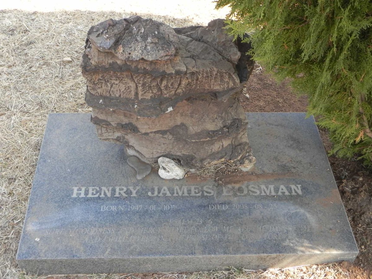 BOSMAN Henry James 1947-2005