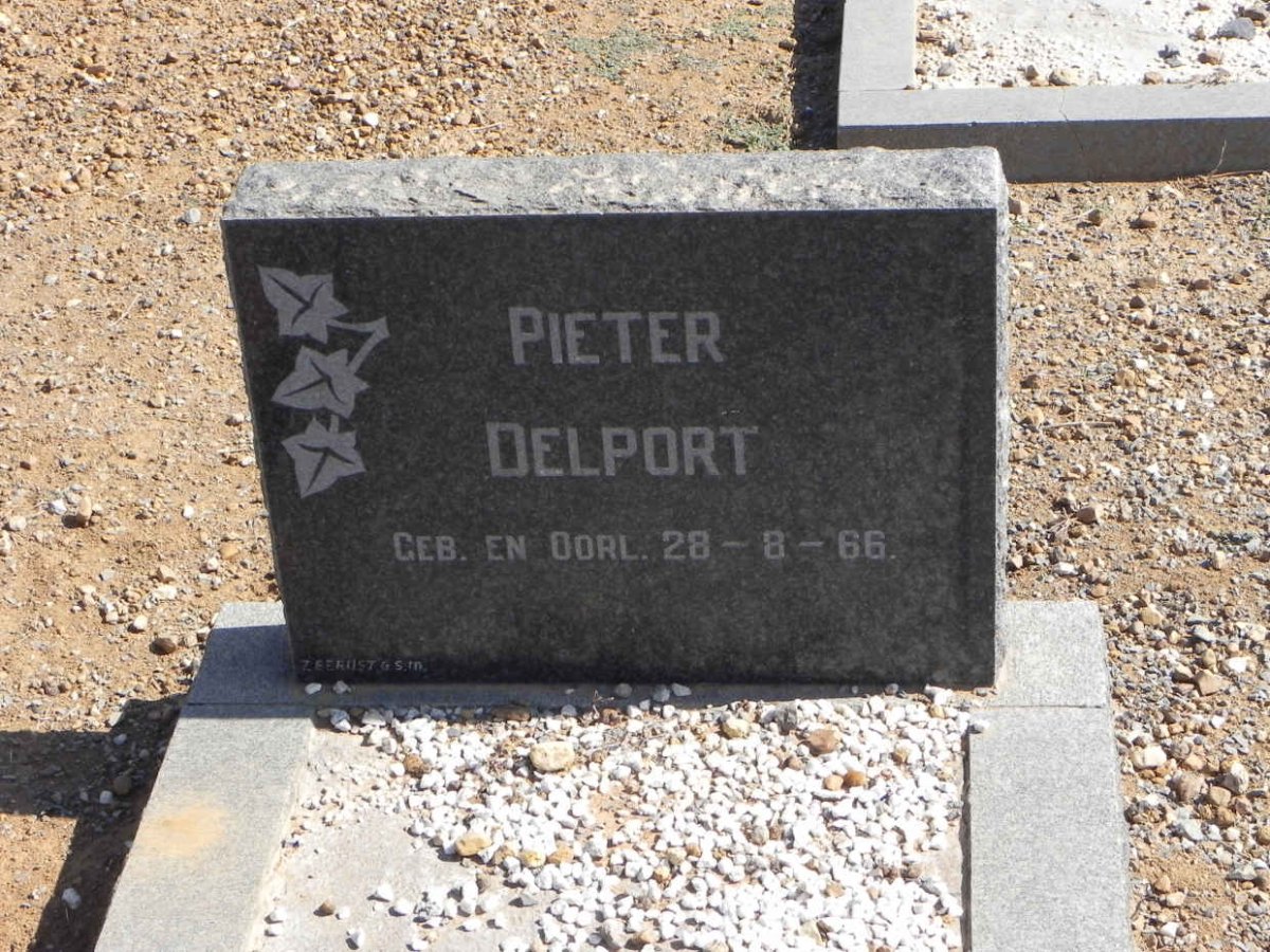 DELPORT Pieter 1966-1966