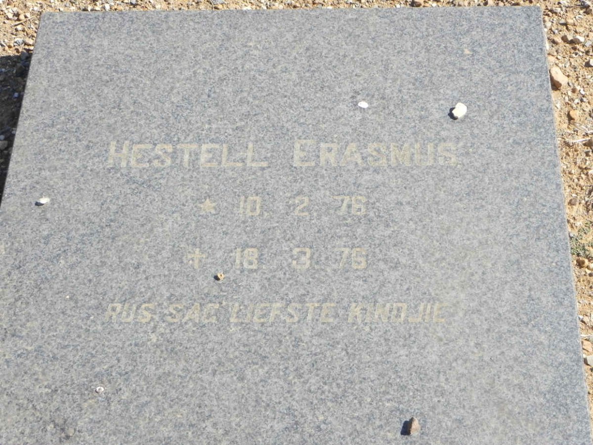 ERASMUS Hestell 1976-1976