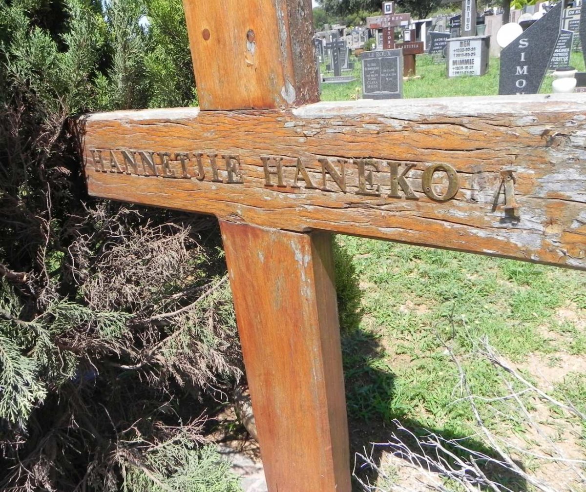 HANEKOM Hannetjie 1951-2005