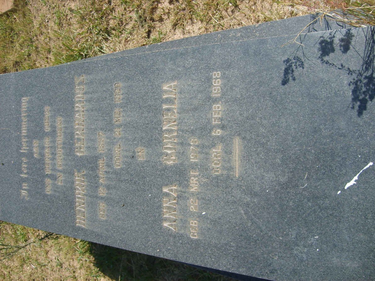 ? Hendrik Gerhardus 1867-1928 &amp; Anna Cornelia 1873-1968