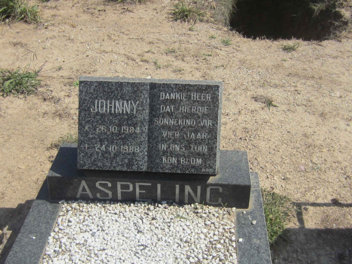 ASPELING Johnny 1984-1988