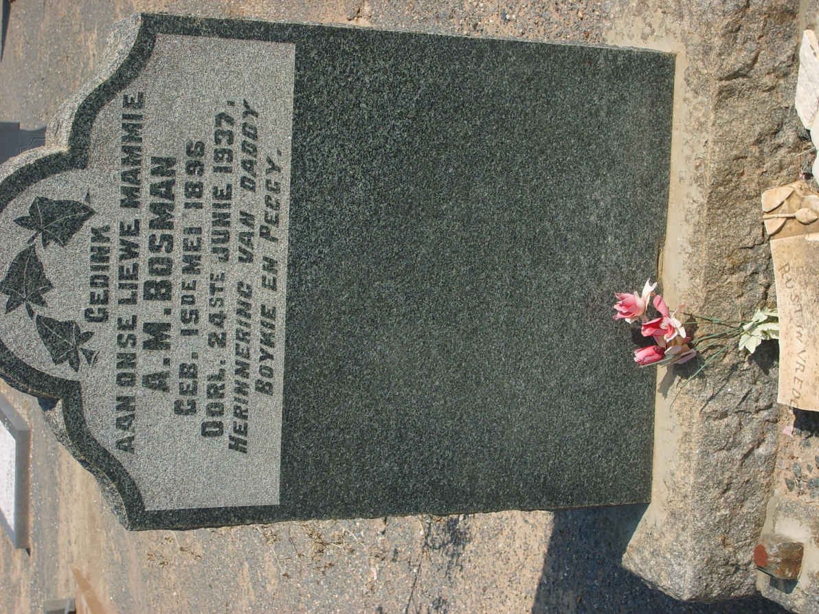BOSMAN A.M. 1896-1937