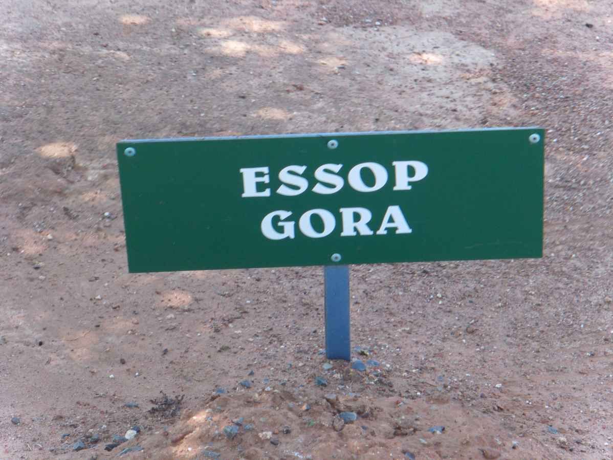 GORA Essop
