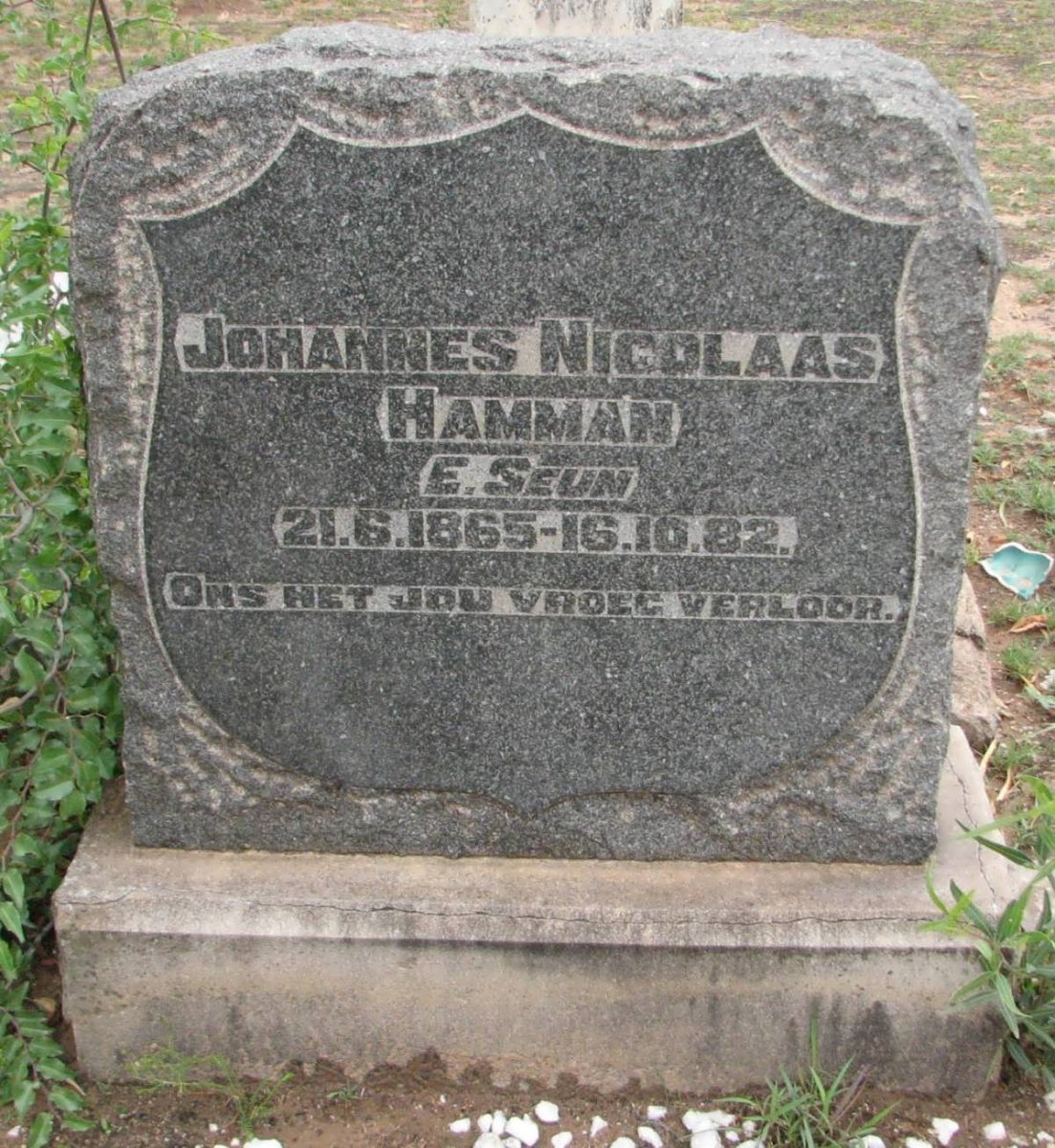 HAMMAN Johannes Nicolaas 1865-1882