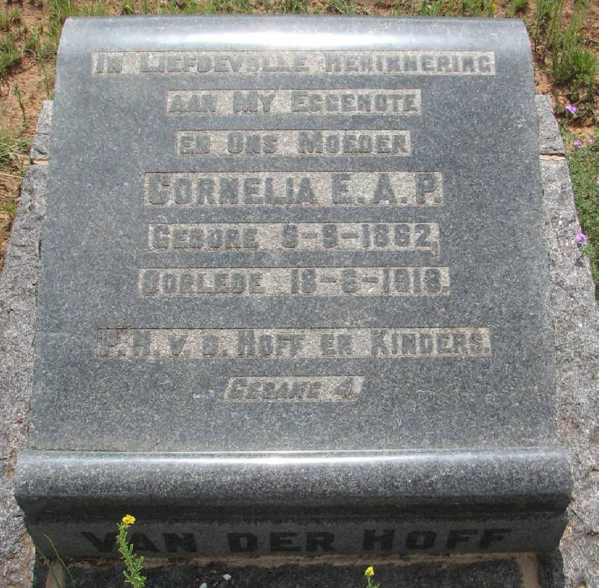 HOFF Cornelia E.A.P., van der 1862-1918