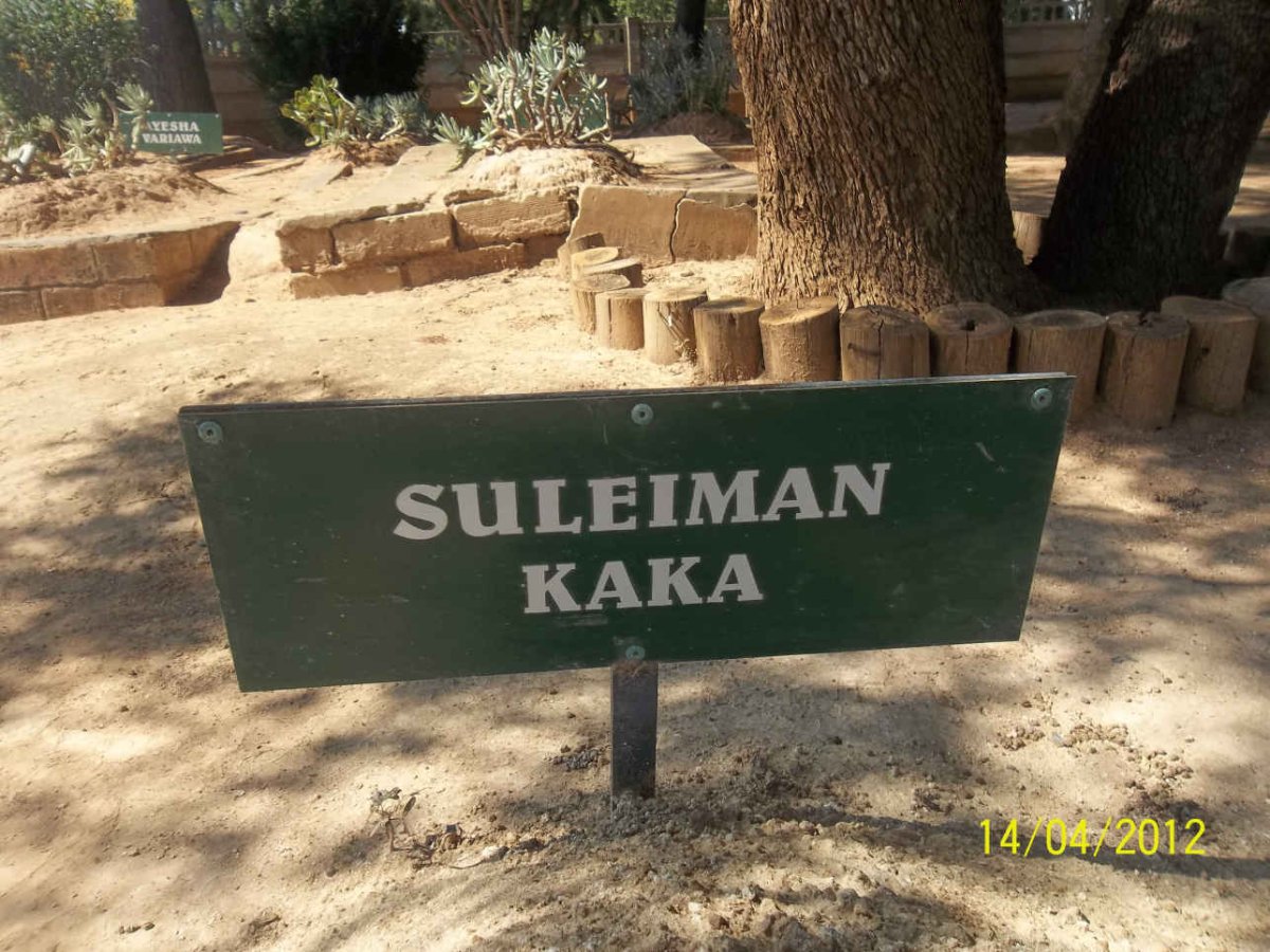 KAKA Suleiman