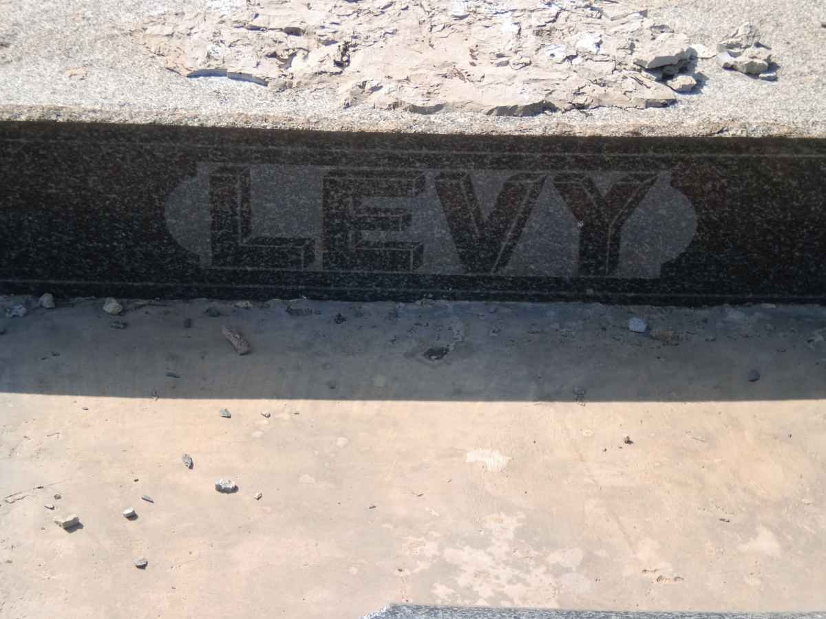 LEVY Sarah Pessa -1953