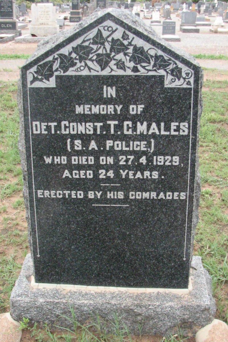 MALES T.G. -1929