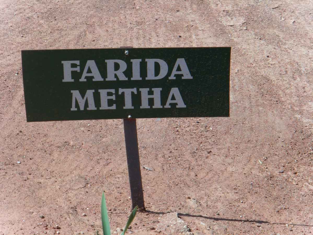 METHA Farida