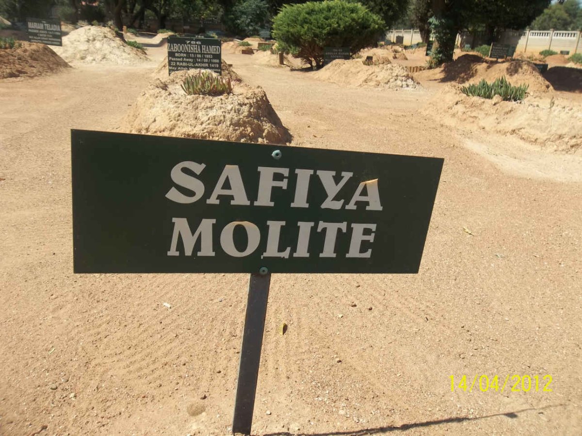 MOLITE Safiya