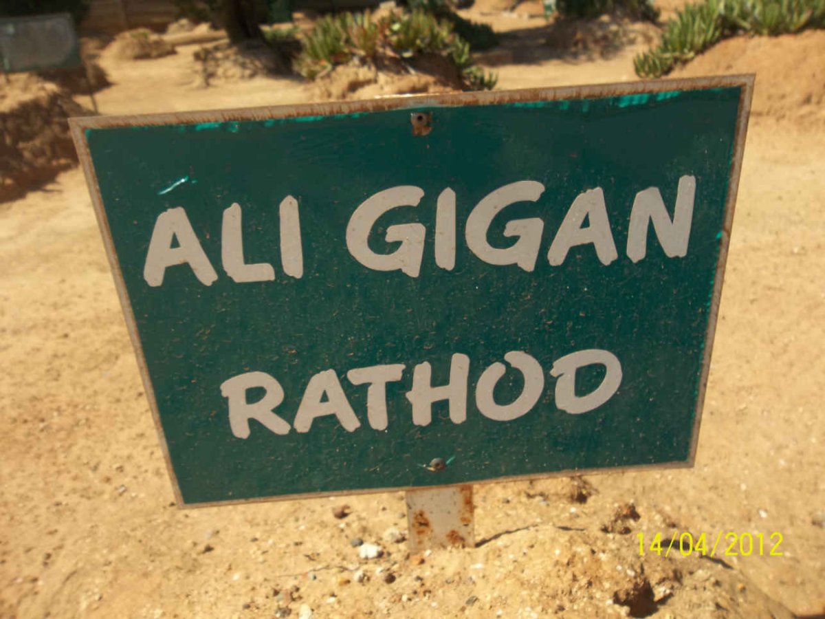 RATHOD Ali Gigan