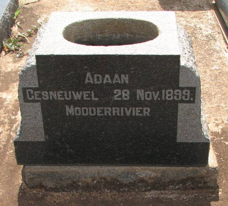 REY Adaan, de la -1899