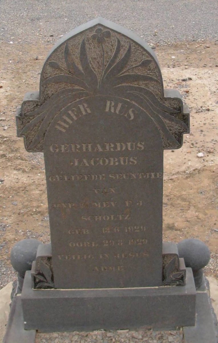 SCHOLTZ Gerhardus Jacobus 1929-1929