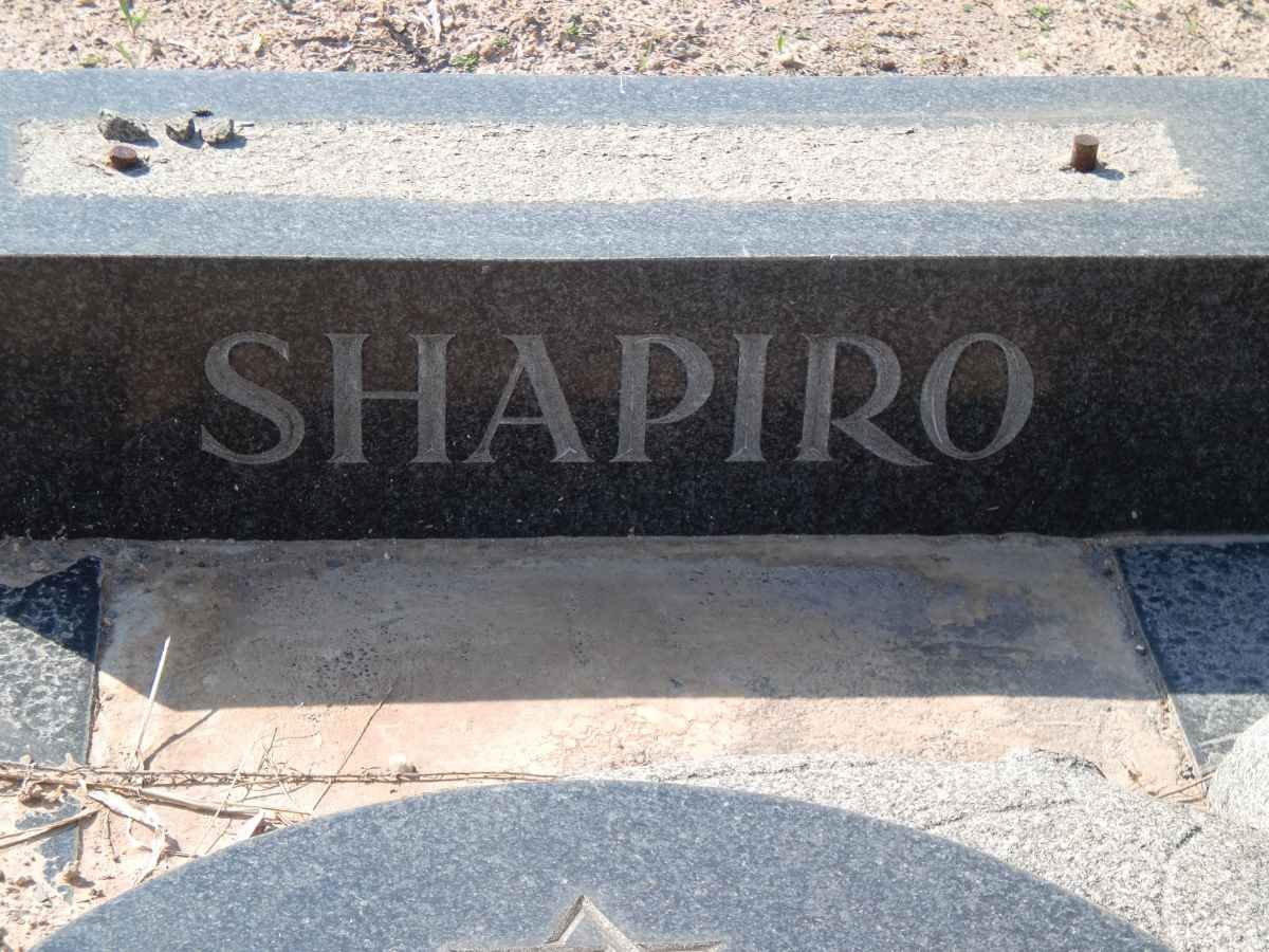 SHAPIRO Reeve -1964