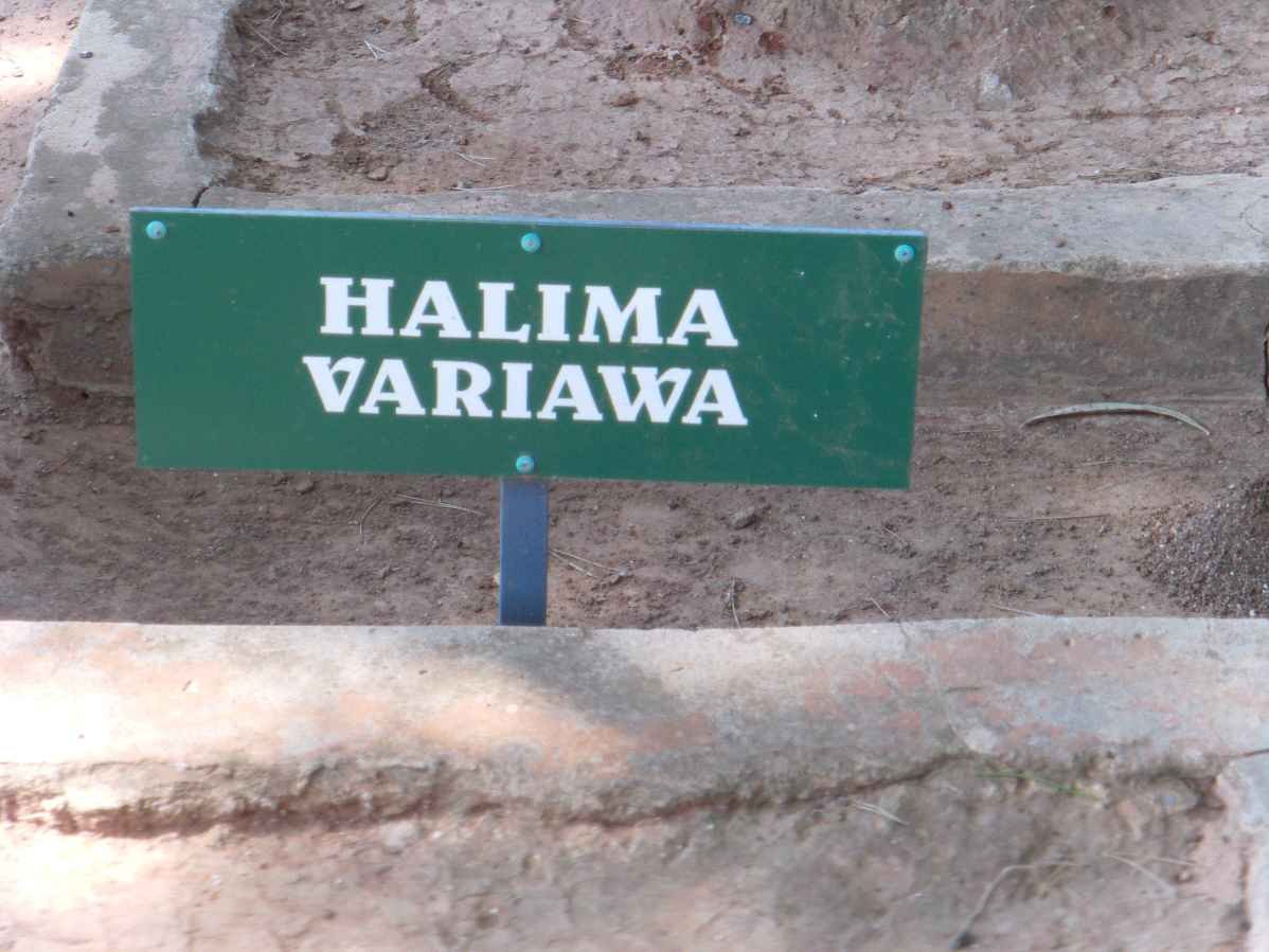 VARIAWA Halima
