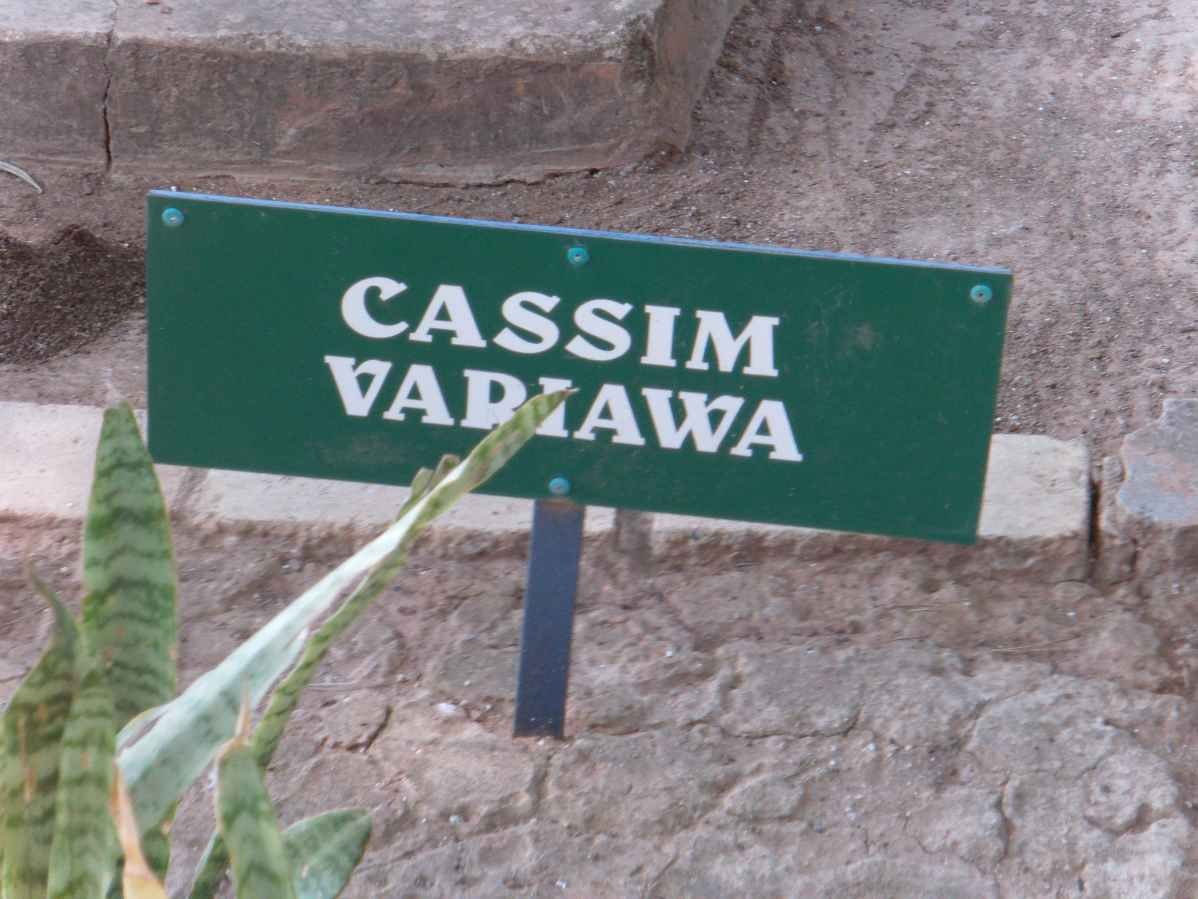 VARIAWA Cassim